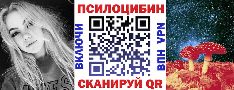Галлюциногенные грибы Psilocybine cubensis  Хабаровск 
